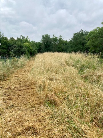 Débroussaillage de terrain à Muret