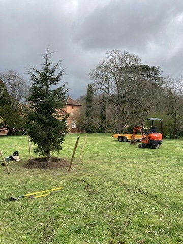 Plantation d'arbres à Rieumes